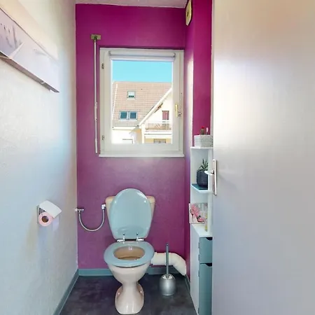 Le Clos Des Maraichers Avec Parking Appartement Colmar